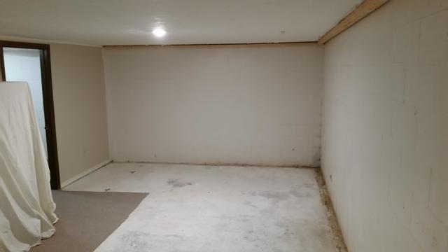 Basement Before