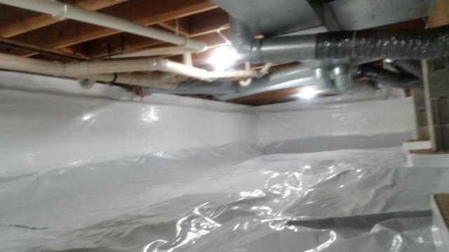 CleanSpace