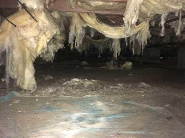 Crawl Space insulation