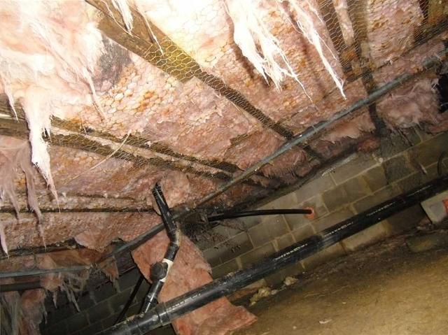 Crawl Space Disaster