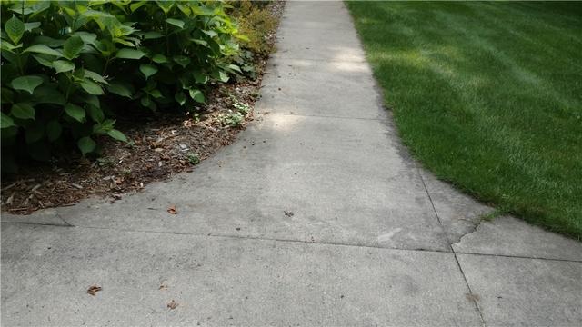 Sidewalk Also in Need of PolyLevel Injection