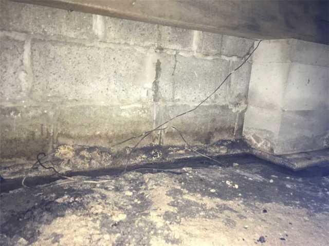 Water pooled at the corners of the crawl space creating the high humidity and mold issues.