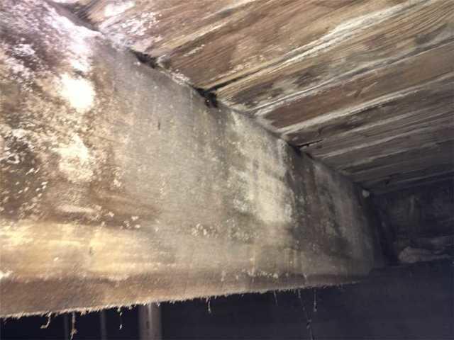 High moisture and humidity in this crawl space caused mold to grow on almost every supporting beam.