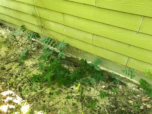 Soil Erosion Under the Foundation