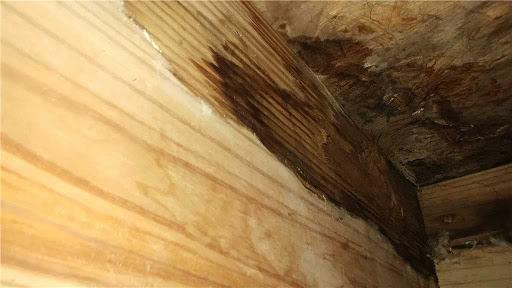 Damaged subfloor