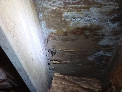 The subfloor weakened and began to splinter.