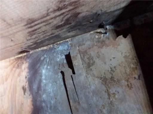 Moisture in the crawl space in Moncks Corner