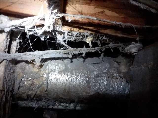 Crawl space high in humidity or moisture