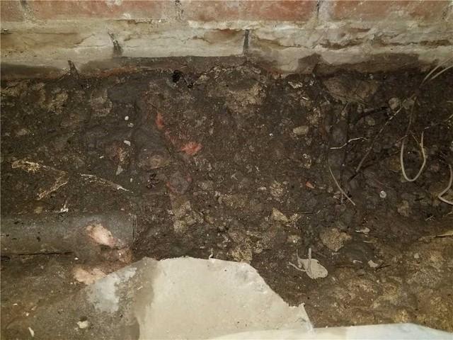 Damp crawl space soil