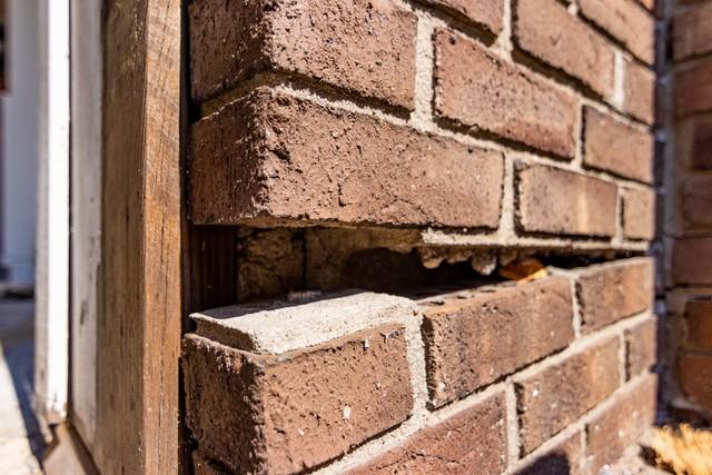 Foundation Separated