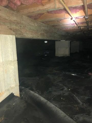 The crawl space underneath the house is not in a very healthy state. Along with evidence of a high moisture content, the insulation is failing, and there is mold beginning to grow in the crawl space.