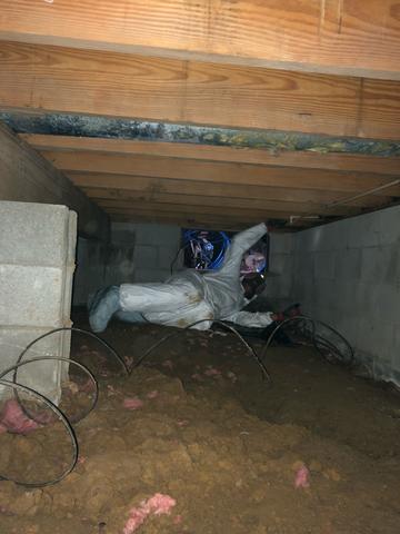 Here you can see that we've removed all of the old plastic and insulation. And have begun performing mold remediation.