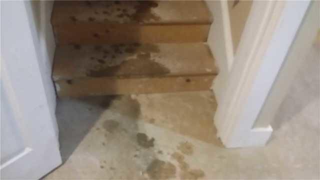 Water Getting Into the Basement