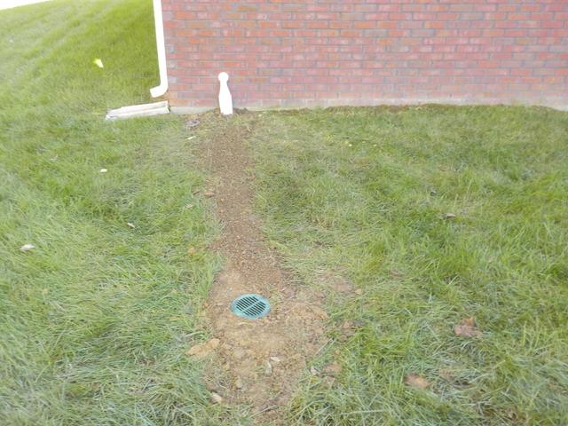 The Iceguard on the discharge line allows for water to escape should lines freeze or be damaged. 
A LawnScape Outlet is the exit for any water pumped out of the crawl space. It lays flush with the earth so it is not any trouble when mowing or doing anything else in the yard. The outlet is green and blends in nicely with the ground.