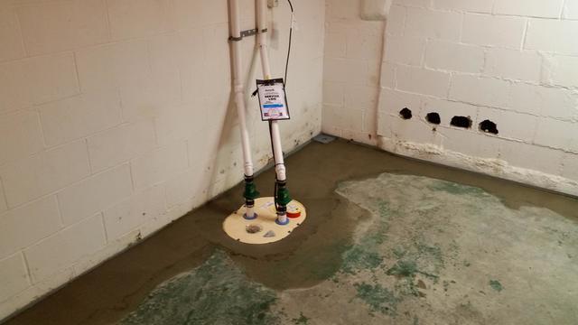 TripleSafe Sump Pump