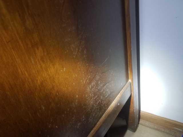 Mold on side of furniture