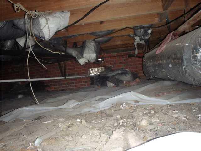 Damp crawl space ground