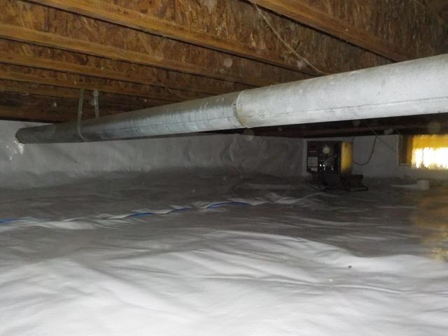 Vapor Barrier and Dehumidifier