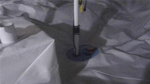 The Smart Sump is a Smart Idea