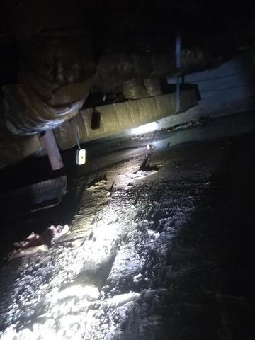 Crawl Space inspection