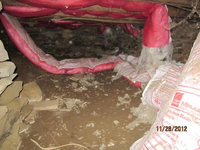 Crawl Spaces in Connecticut