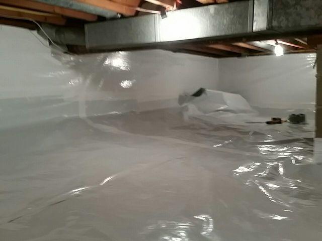 CleanSpace