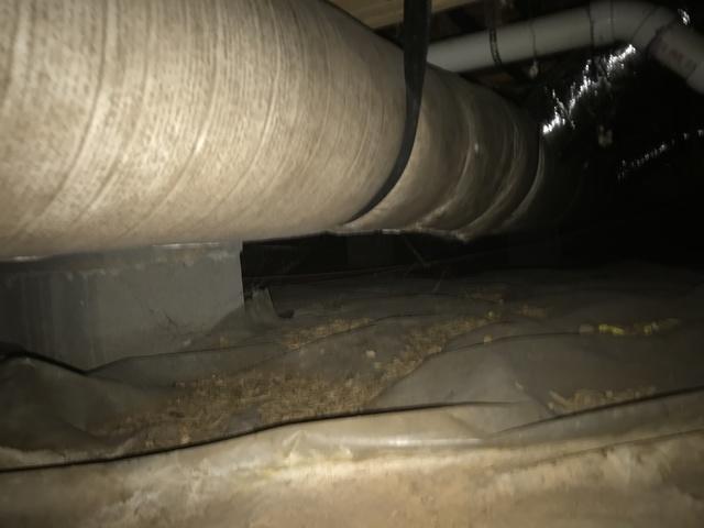 Unhealthy Crawl Space