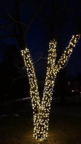 Christmas Light Display in North Long Branch, NJ