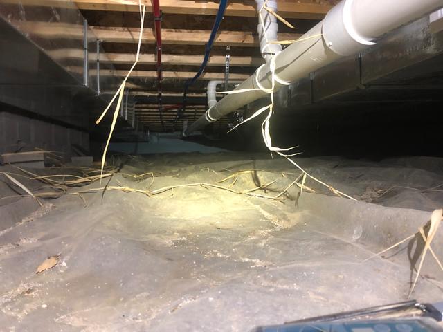 A different view in the crawl space of their previous 6mil plastic.