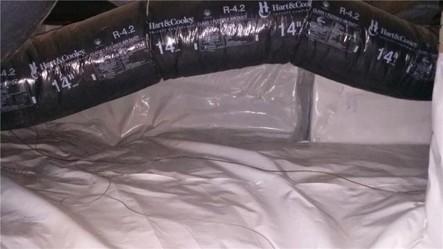 CleanSpace is Also Mold-Proof