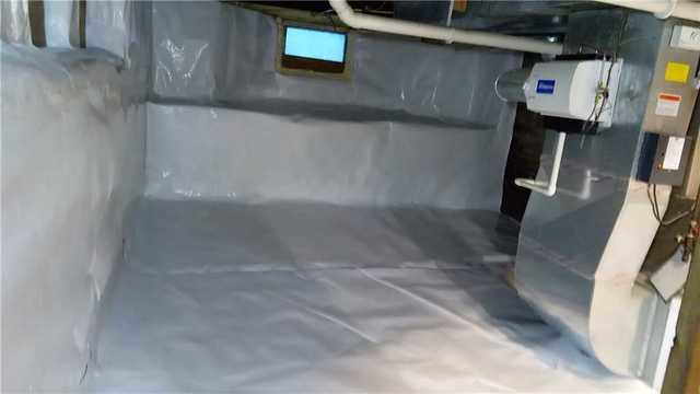 CleanSpace Upgrades Basement