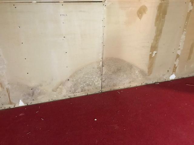 These panels showed no exterior signs of mold, completely hiding the true danger of mold from moisture and condensation in basements.