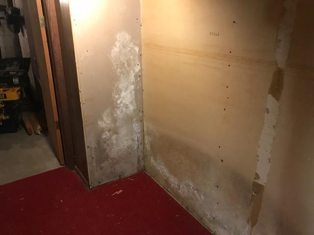 These panels showed no exterior signs of mold, completely hiding the true danger of mold from moisture and condensation in basements.