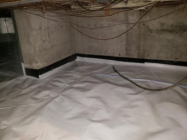 CleanSpace