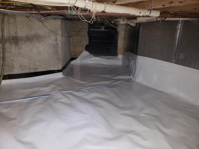 CleanSpace Throughout Basement