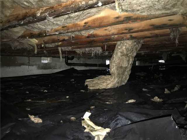 Falling Insulation in Forked River