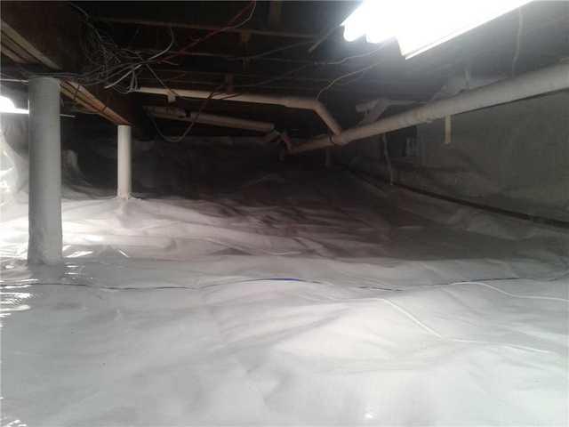 CleanSpace