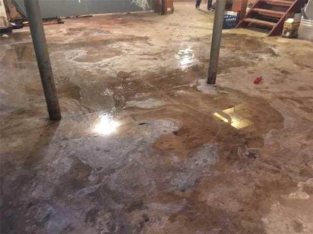 Damp Basement