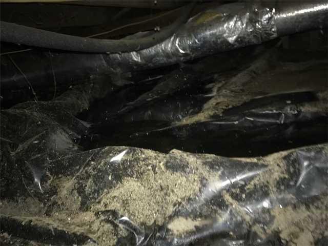 Standing water in crawl spaces can be soaked into the wood