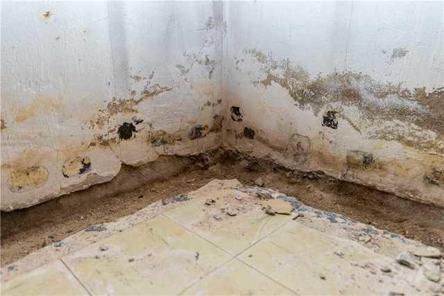 Digging French Drain