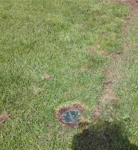 LawnScape