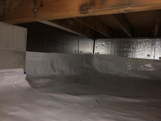 SilverGlo + CleanSpace Combo