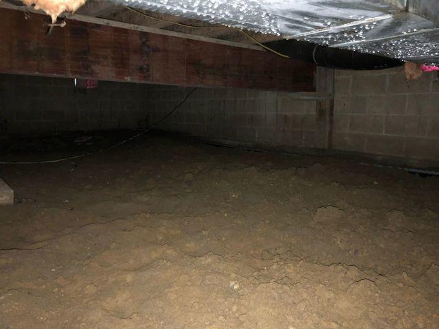 Once inside the crawl space, there wasn't a tarp to protect the space from water, critters, or mold.