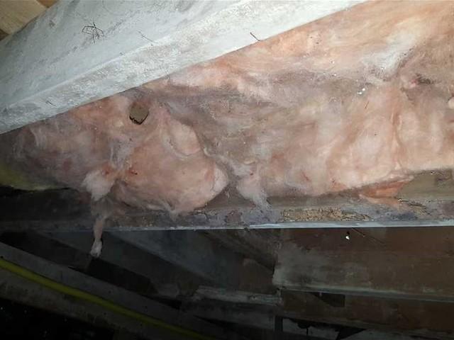 The fibreglass insulation was absorbing the excessive humidity in the space, and in places had even fallen to the ground. Whether wet or fallen: the insulation isn't doing any good!