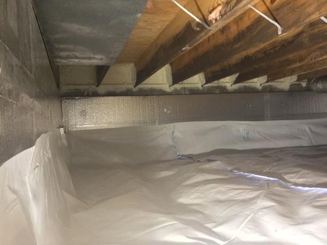 SilverGlo Insulation and Tim Tight Rim Joist Insulation