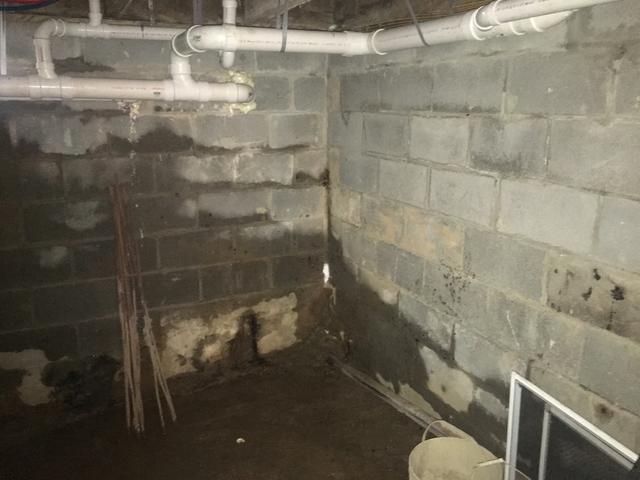 The Basement Doctor Of Central Kentucky Basement Waterproofing Photo Album Brightwall Supersump And Sanidry Resolve Water Intrusion In Pleasureville Ky