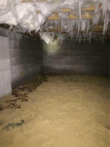 Nasty Crawl Space Environment