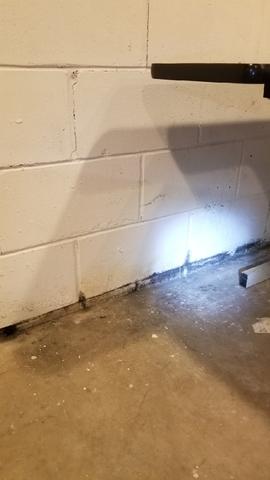 Cracked Foundation and Water-damaged Basement