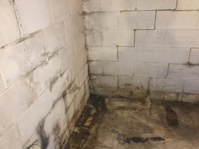 Water-damaged basement and cracked foundation.