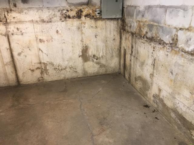 Water-damaged basement and cracked foundation.